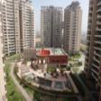 3293 Sq.Ft. Penthouse Available For Rent In Ambiance Lagoon, Gurgaon 3 Bhk Penthouse  Rent NH 8 Gurgaon